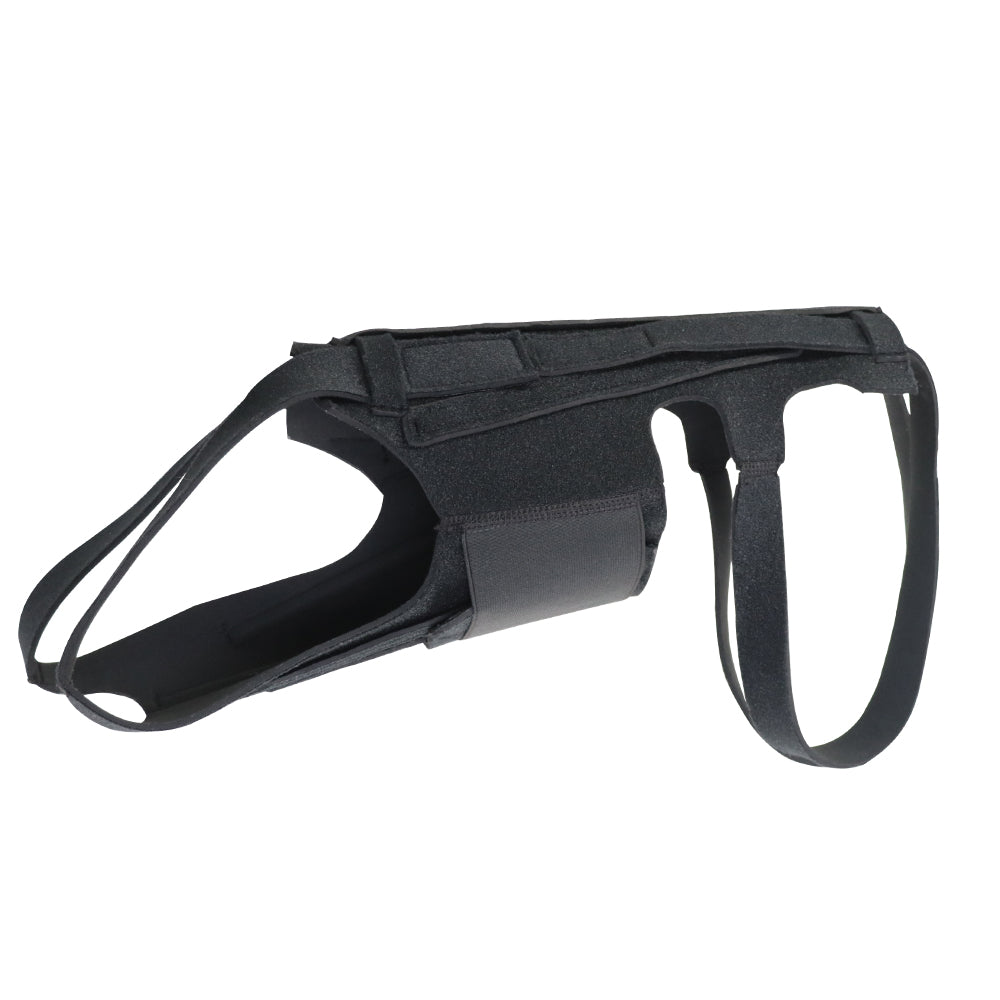 Dog Back Brace for IVDD, Arthritis & Recovery