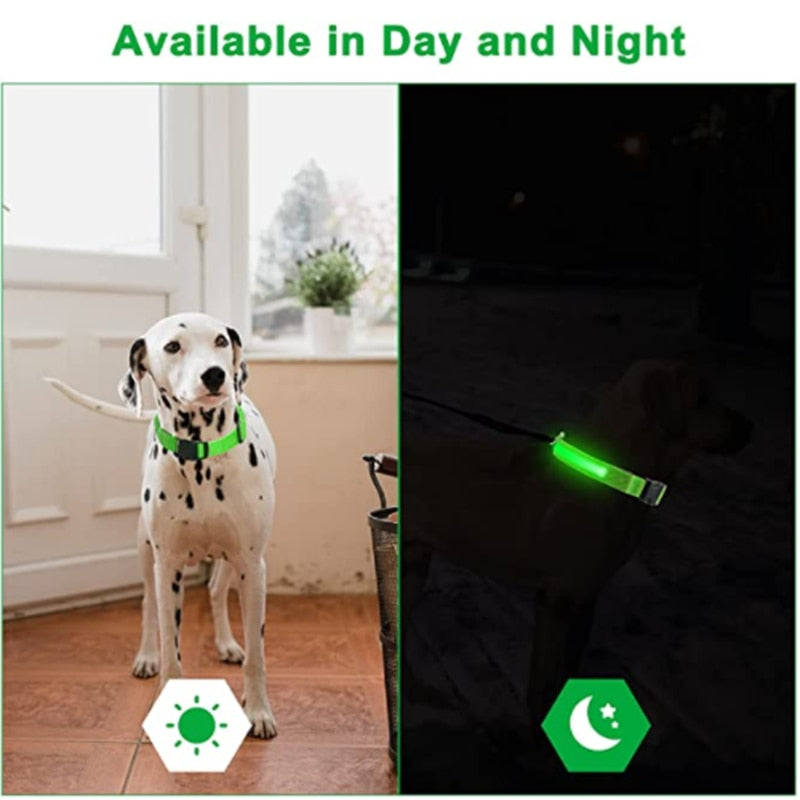 Led Glowing Adjustable Dog Collar