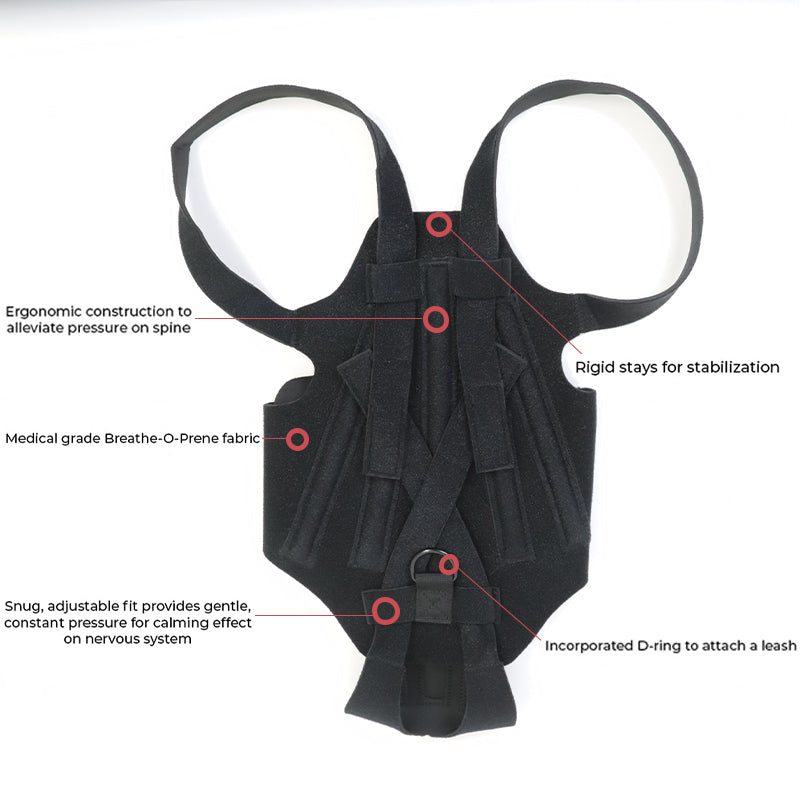 Dog Back Brace for IVDD, Arthritis & Recovery
