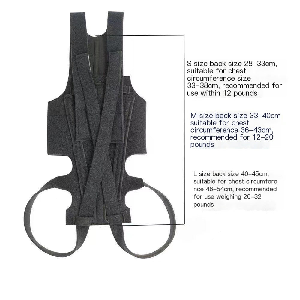 Dog Back Brace for IVDD, Arthritis & Recovery